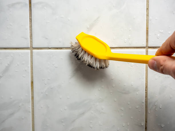 Best Commercial Mold Removal  in Sabetha, KS