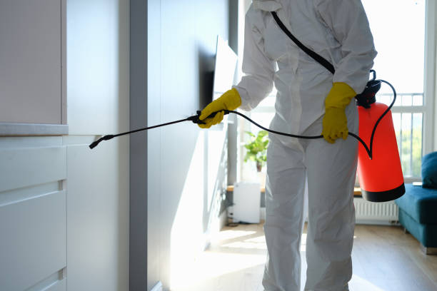 Best Fast Mold Removal  in Sabetha, KS